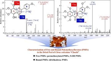 Characterization of free and bound polymethoxyflavones in the dried peel of Citrus reticulata “Chachi” through fingerprint RDA ions and reversed-phase column retention by UPLC-Q-TOF-MS/MS