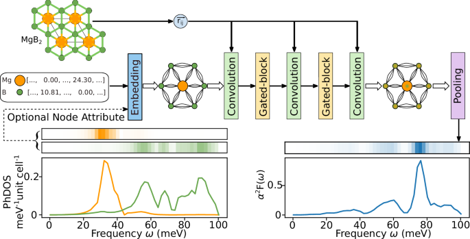 Accelerating superconductor discovery through tempered deep learning of the electron-phonon spectral function