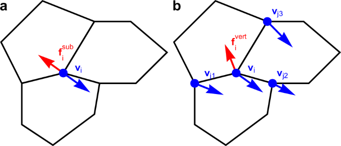 Vertex model with internal dissipation enables sustained flows