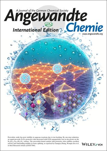 Inside Cover: An Angstrom-Scale Protective Skin Grown In Situ on Perovskite Oxide to Enhance Stability in Water (Angew. Chem. Int. Ed. 6/2025)