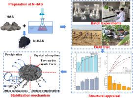 Study on stabilization of mercury in wastewater and soil by modified coal-based humic acid residue
