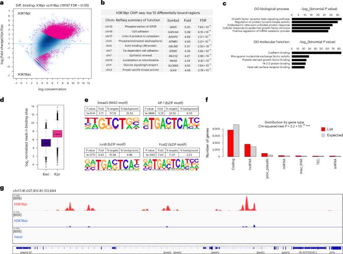 Short-chain fatty acid metabolites propionate and butyrate are unique epigenetic regulatory elements linking diet, metabolism and gene expression