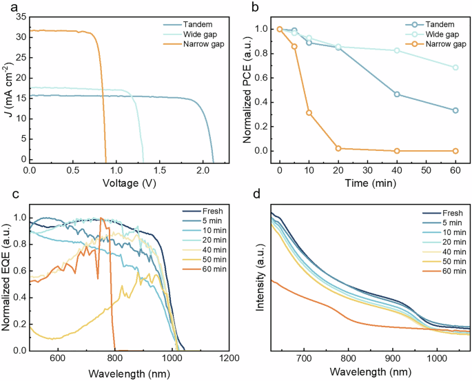 Unveiling the nexus between irradiation and phase reconstruction in tin-lead perovskite solar cells