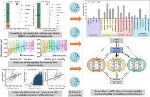 Assembly of soil multitrophic community regulates multifunctionality via multifaceted biotic factors in subtropical ecosystems