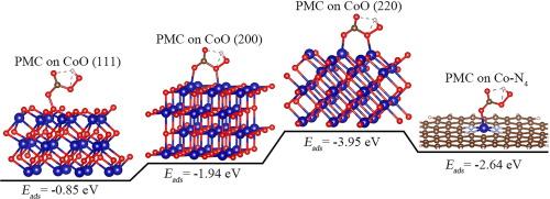 Effective antibiotic removal from actual water matrices by Co in ZIF-8-derived porous carbon activated peroxymonocarbonate: Role of electron donor properties and selective reactive species