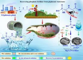 Conversion and recovery process from glyphosate wastewater into phosphatic fertilizer on the continuous reaction system