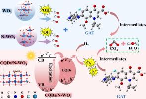 Synergistic doped and loaded strategies to modify WO3 nanoflowers for efficient photocatalytic degradation of antibiotics through reactive oxygen species regulation