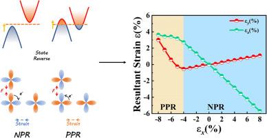 Discovering the auxetic transition driven by the electronic correlation