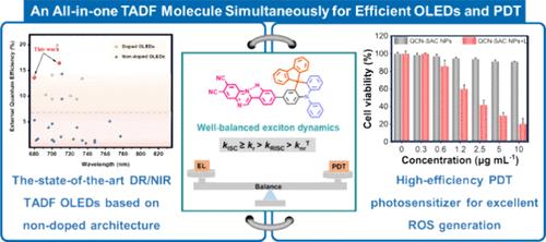 Versatile Thermally Activated Delayed Fluorescence Material Enabling High Efficiencies in both Photodynamic Therapy and Deep-Red/NIR Electroluminescence