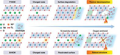 Consolidating Surface Lattice via Facile Self-Anchored Oxygen Layer Reconstruction Toward Superior Performance and High Safety Nickel-Rich Oxide Cathodes