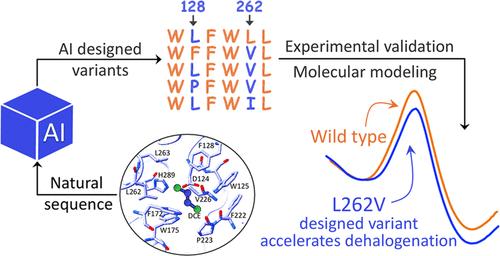 Biochemical and Computational Characterization of Haloalkane Dehalogenase Variants Designed by Generative AI: Accelerating the SN2 Step