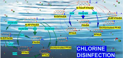 Investigation of Transformation Pathways of Polyfluoroalkyl Substances during Chlorine Disinfection