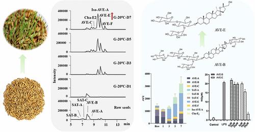 Germination and False Germination Increase the Levels of Bioactive Steroidal Saponins in Oats