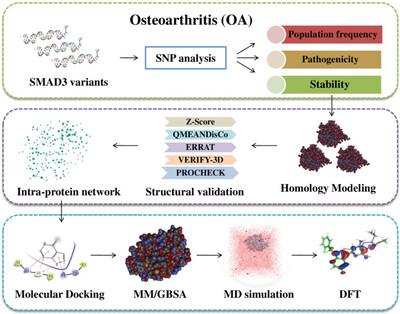 Detrimental Effect of T261I and R287W SMAD3 Variants on Early Osteoarthritis: A Potential Anti-Inflammatory Molecule for Personalized Treatment