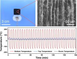 Structurally resilient carbon nanofiber aerogels from aramid nanofibers for thermal insulation under extreme conditions