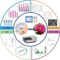 Molecular simulation and machine learning assisted in exploring betaine-based deep eutectic solvent extraction of active compounds from peony petals