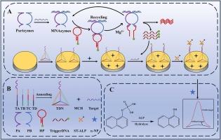 Programmable target-driven MNAzyme and DNA tetrahedron framework synergistically constructed label-free electrochemical sensing platform for TMV RNA detection