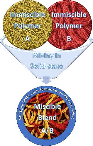 Strategy for Fabricating Multiple-Shape Memory Polymeric Materials Based on Solid State Mixing