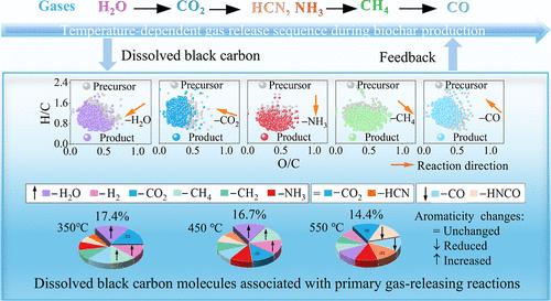 Implications of Pyrolytic Gas Dynamic Evolution on Dissolved Black Carbon Formed During Production of Biochar from Nitrogen-Rich Feedstock