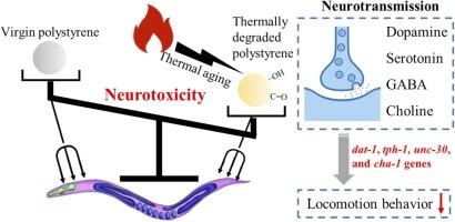 Behavioral and Molecular Neurotoxicity of Thermally Degraded Polystyrene in Caenorhabditis elegans