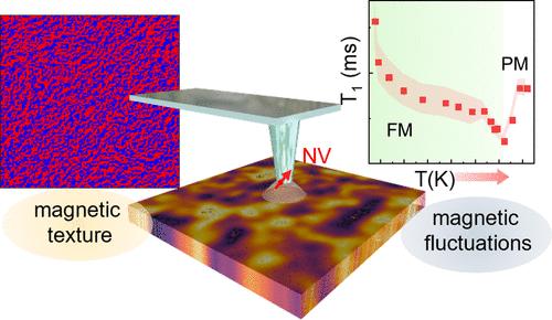 Nanoscale Magnetic Ordering Dynamics in a High Curie Temperature Ferromagnet