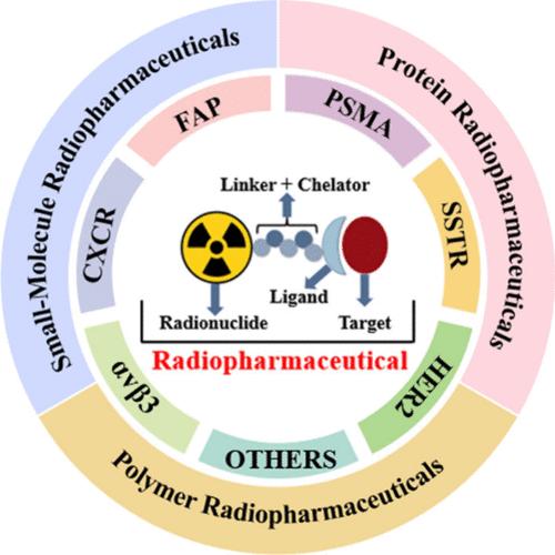 Advances in Preclinical Research of Theranostic Radiopharmaceuticals in Nuclear Medicine