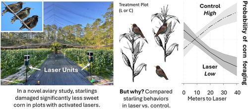 Laser scarecrows reduce avian corn-foraging propensity but not bout length in aviary trials