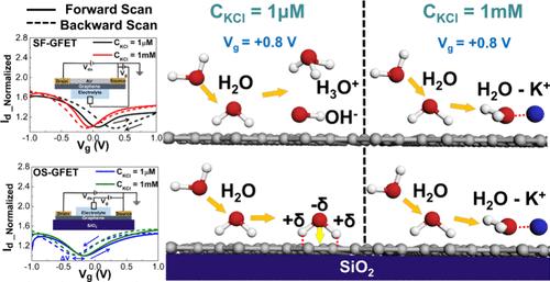 Nanoscopic Supercapacitance Elucidations of the Graphene-Ionic Interface with Suspended/Supported Graphene in Different Ionic Solutions