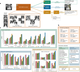 Exploring scalable medical image encoders beyond text supervision