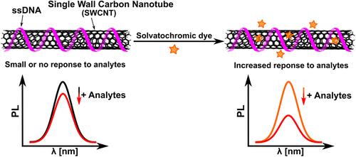 Solvatochromic Dyes Increase the Sensitivity of Nanosensors