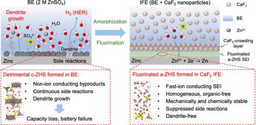 Transforming Detrimental Crystalline Zinc Hydroxide Sulfate to Homogeneous Fluorinated Amorphous Solid–Electrolyte Interphase on Zinc Anode