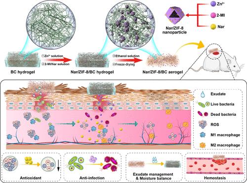 In Situ Self-Assembled Naringin/ZIF-8 Nanoparticle-Embedded Bacterial Cellulose Sponges for Infected Diabetic Wound Healing