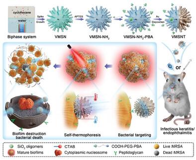 A Bioinspired Virus-Like Mechano–Bactericidal Nanomotor for Ocular Multidrug-Resistant Bacterial Infection Treatment