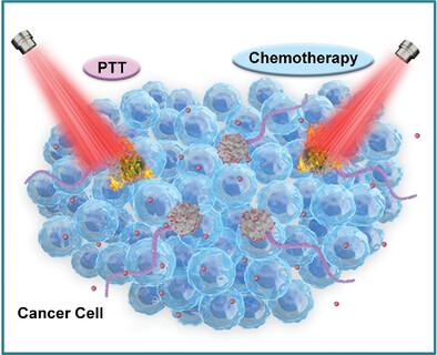 AlgaeSperm: Microalgae-Based Soft Magnetic Microrobots for Targeted Tumor Treatment