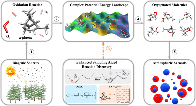Molecular dynamics-guided reaction discovery reveals endoperoxide-to-alkoxy radical isomerization as key branching point in α-pinene ozonolysis