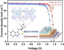 Interface Passivation and Energy Level Alignment for Enhanced Photovoltage and Stability of Inverted Perovskite Solar Cells Using a Multifunctional Molecule