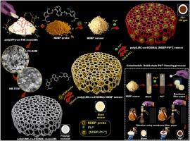 Probe-infused polymer monolithic sensor for colorimetric detection of Pb2+ in environmental water samples and tobacco extracts