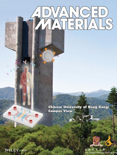 (Adv. Mater. 2/2025)