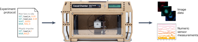 Causal chambers as a real-world physical testbed for AI methodology