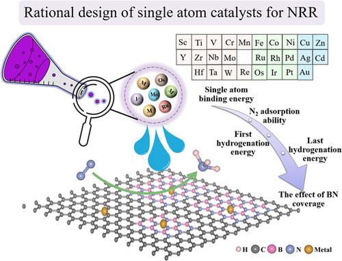 Theoretical Insight into the Transition-Metal-Embedded Boron Nitride-Doped Graphene Single-Atom Catalysts for Electrochemical Nitrogen Reduction Reaction