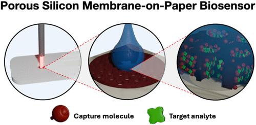 Porous Silicon on Paper: A Platform for Quantitative Rapid Diagnostic Tests