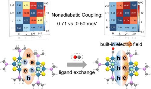 Dipole-Modulated Carrier Dynamics and Charge Transport Behavior of Ligand-Protected Metal Chalcogenide Nanoclusters