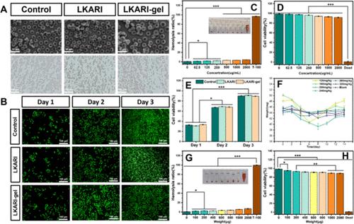 Correction to “Screening of Short-Chain Antimicrobial Peptide LKARI with Broad-Spectrum Bactericidal Properties and Its Application in Promoting Wound Healing”