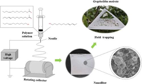 Electrospun nanofibers as controlled release systems for the combined pheromones of Grapholita molesta and Cydia pomonella