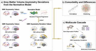 Rightward brain structural asymmetry in young children with autism