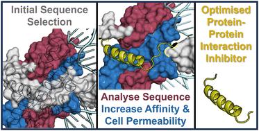 Peptide design to control protein–protein interactions