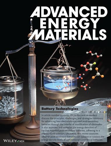 Advancing Post-Secondary Batteries under Lean Electrolyte Conditions through Interfacial Modification Strategies (Adv. Energy Mater. 2/2025)