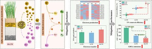 A new insight on simultaneous water purification and greenhouse gas reduction by constructing sulfur-siderite driven autotrophic denitrification pathways in constructed wetlands