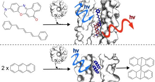 Confinement and Catalysis within De Novo Designed Peptide Barrels