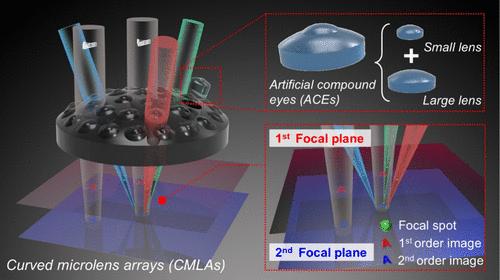 Fabrication of Artificial Compound Eyes with Biplanar Focal Planes on a Curved Surface
